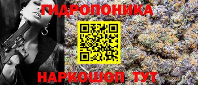 скорость Будённовск