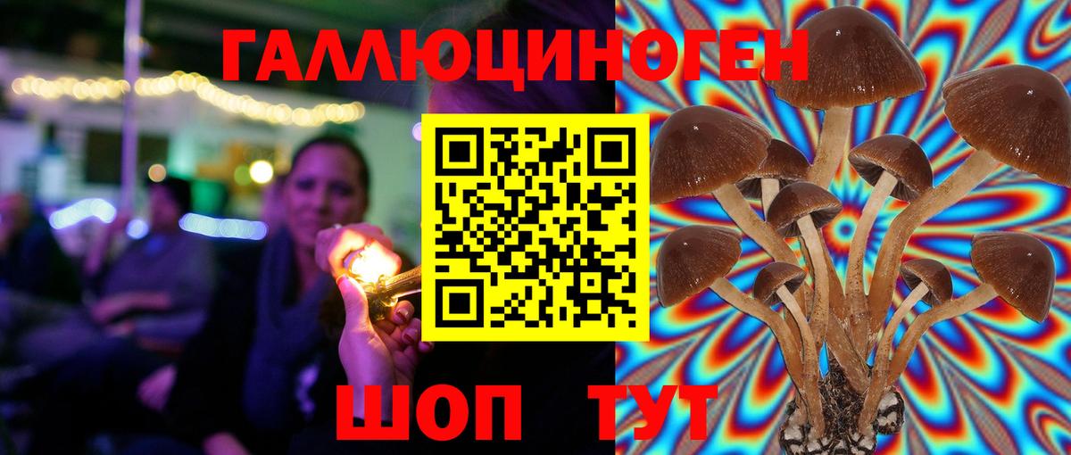 Галлюциногенные грибы мухоморы  Вход с VPN  Элиста 
